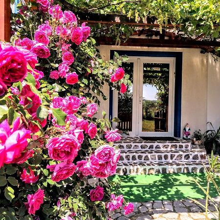 Teo Guest Rooms Băile Felix Zewnętrze zdjęcie