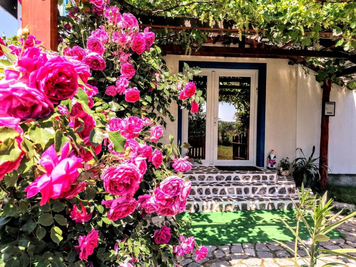 Teo Guest Rooms Băile Felix Zewnętrze zdjęcie