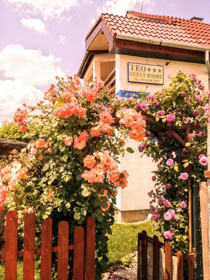 Teo Guest Rooms Băile Felix Zewnętrze zdjęcie
