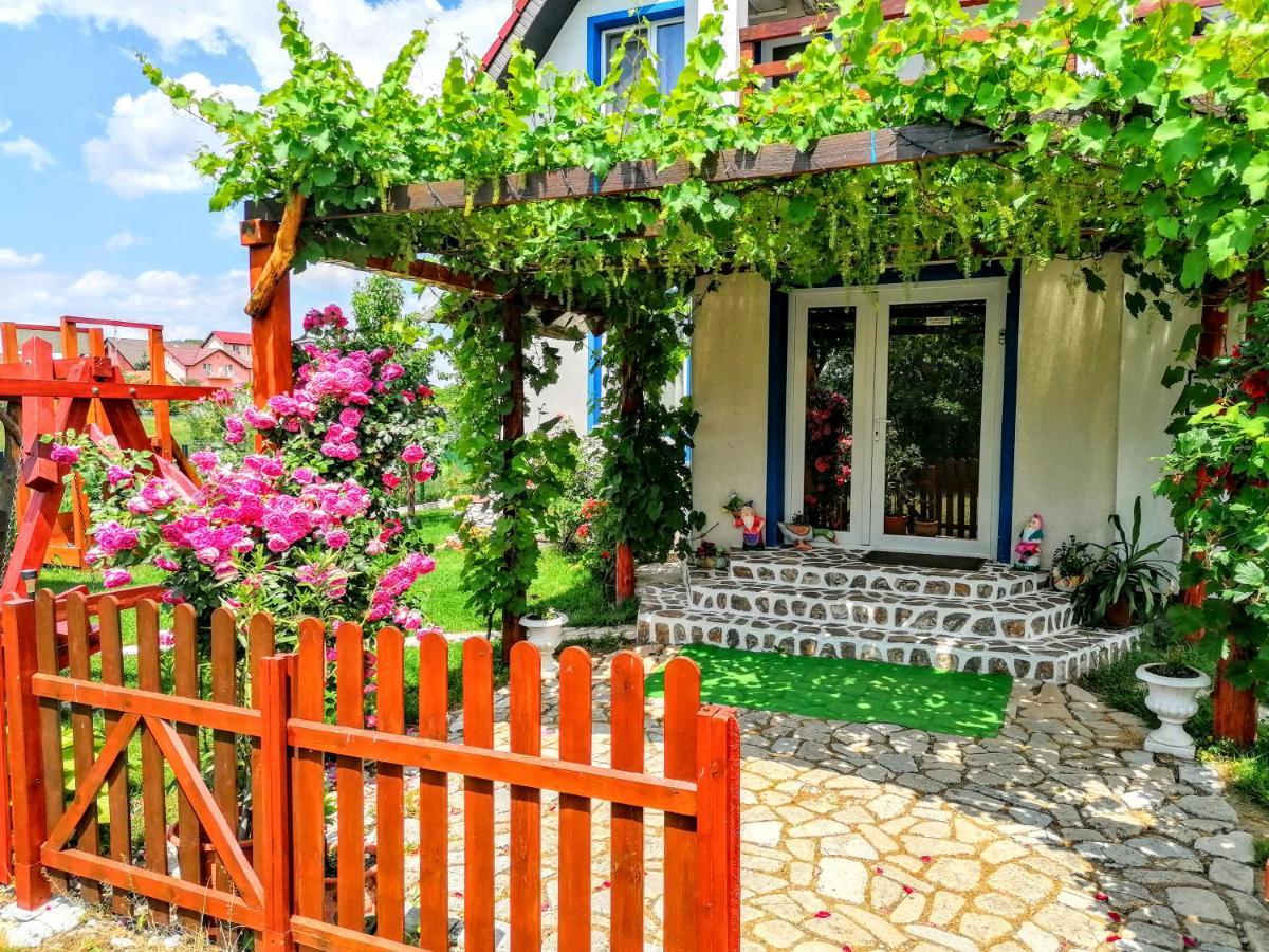 Teo Guest Rooms Băile Felix Zewnętrze zdjęcie