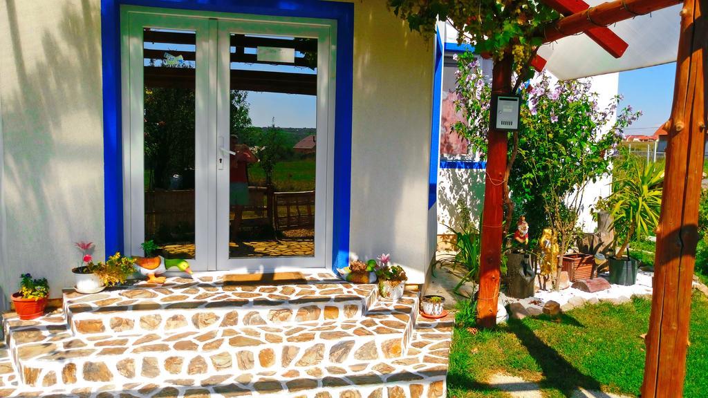 Teo Guest Rooms Băile Felix Zewnętrze zdjęcie